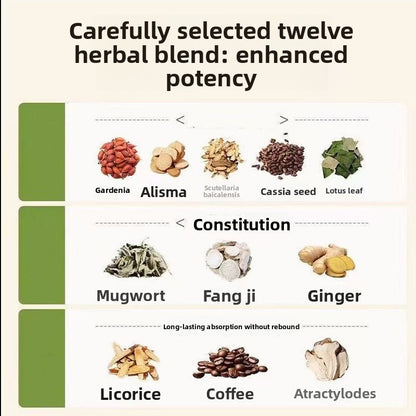 Japanese Herbal Patches